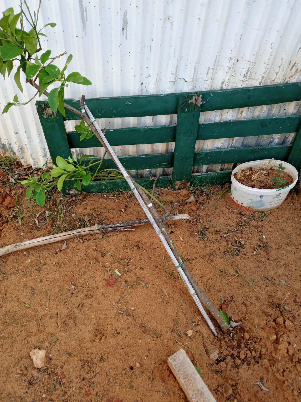 WhatsApp Image 2020-05-06 at 1.02.33 PM (1).jpeg.jpeg